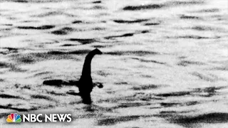 Loch Ness Monster hunters launch massive search to foster new interest