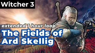 The Witcher 3 OST, Fields of Ard Skellig (1 hour extended) | relaxing game music study sleep