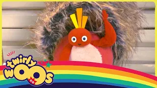 More about Soft | Twirlywoos | Cartoons for Kids | WildBrain Live Action