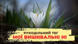 Рукодільний ТЕГ Мої вишивальні НІ