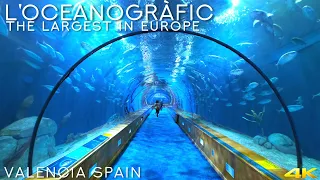 Tiny Tour | Valencia Spain | The largest Oceanographic Park in Europe | Oceanografic 2020 Jan