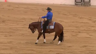 2021 4 y/o Stakes - High Roller Reining Classic Las Vegas - Starfire Sixtysix ridden by Casey Deary