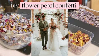 DIY Flower Petal Confetti 🌸 how I made eco-friendly confetti for our wedding day!