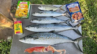 Squid and Spanish Mackerel Catch n' Cook on a Florida Pier!