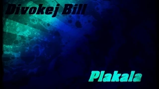 Divokej Bill   plakala lyrics