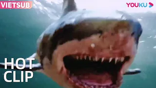 Cô gái giây trước còn giận bạn trai giây sau làm mồi cho cá mập | Cá Mập Khổng Lồ | YOUKU