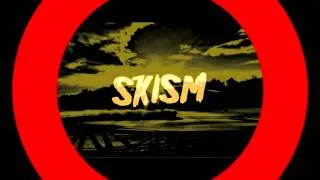 Porter Robinson - the ttate (skism remix) [HD]