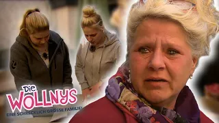 Nach Erdbeben zutiefst erschüttert: Silvia in Tränen! 😥😱 Folge 275 | Die Wollnys | RTLZWEI