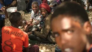 UN cancels humanitarian flight after Tigray airstrikes I Eye on Africa – France 24 English