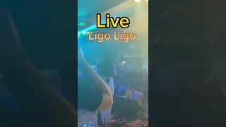 Anastasia - Ligo Ligo Live