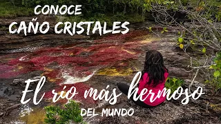 ¿Es CAÑO CRISTALES el RÍO más HERMOSO DEL MUNDO? | ¿Cómo llegar? ¿dónde se encuentra?