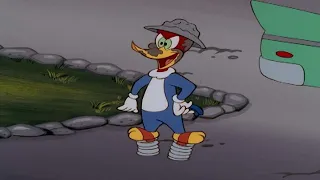 Woody gets muddy! | Woody Woodpecker