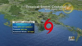 Tropical Storm Cristobal Makes Landfall In Louisiana
