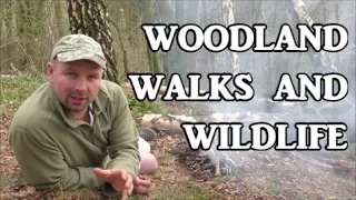 Woodland Walking and Wildlife