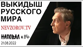 Кто и  зачем взорвал  дочь Дугина и кто следующий, Соловьев, Мариуполь, суд, Путин,  Саммит G20,