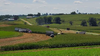 2 New Holland Choppers Chopping Corn Silage at Darlington Ridge