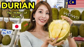 [Durian] Did I fall in love with the world's smelliest fruit?