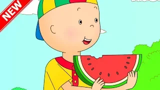 ★NEW★ CAILLOU AT THE PIC NIC | Funny Animated Videos For Kids