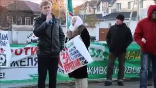 Митинг 7 ноября в  Борисоглебске