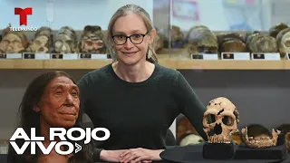 Reconstruyen el rostro de una mujer neandertal que vivió hace 75 mil años