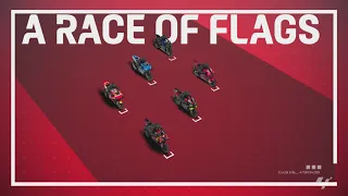 MotoGP™ in 3D: Flag meanings