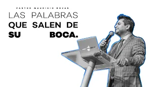 Las Palabras Que Salen De Su Boca - Mauricio Rojas