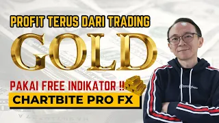 🫰𝗣𝗥𝗢𝗙𝗜𝗧 𝗚𝗢𝗟𝗗 💸 Mudah Pakai FREE Indikator Ini !!