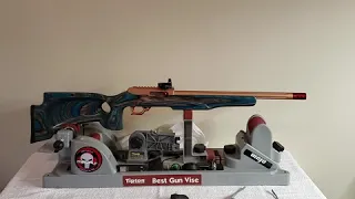 Ruger 10/22 build