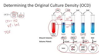 Determining the Original Culture Density OCD