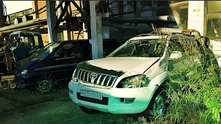 ABANDONED FACTORIES IN KHABAROVSK / FEED MILL ( ABANDONED CARS!!)