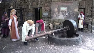 MAKING OLIVE OIL IN ISRAEL