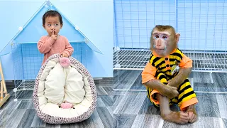 Monkey Kaka is sad because her favorite bed is missing