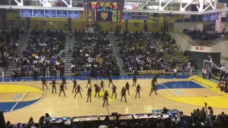 2016-2017 ASU Platinum Divas @ FVSU HOMECOMING