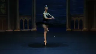 O LAGO DOS CISNES, Tchaikovsky – Petipa Ukrainian Classical Ballet