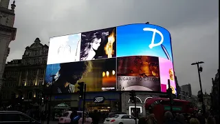 Piccadilly Lights 4K