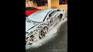 Washing Lamborghini Aventador 😘🔥 #shorts #lamborghini #supercar #car #rollsroyce