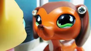 Littlest Pet Shop: Popular (Episode #12: The Rise and Fall of Brooke Hayes)