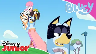 Playing in the park 🏞️ | Bluey 💙 | Disney Junior Arabia