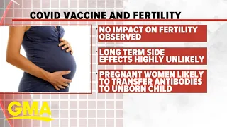 What to know about infertility and COVID-19 vaccines l GMA