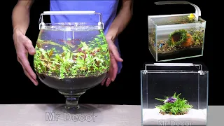 Top 3 Ideas How To Make Mini Aquascape (Planted Aquarium) At Home | MR DECOR #168