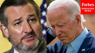 Ted Cruz slams Biden for not allowing press to the detainment facilities at the border