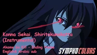 Konna Sekai, Shiritakunakatta Akame Ga Kill (Instrumental)