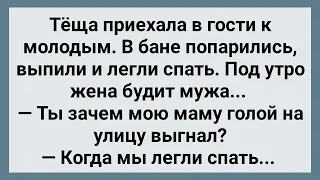 Зять Выгнал Тещу Без Трусов на Улицу! Сборник Свежих Анекдотов! Юмор!