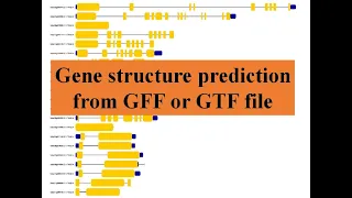 Gene structure in TBTool | Using GFF file to make Gene Structure