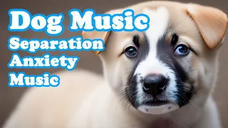 Relax My Dog, Dog Music💖🐶 Relaxing Music for Dogs, Calm Music