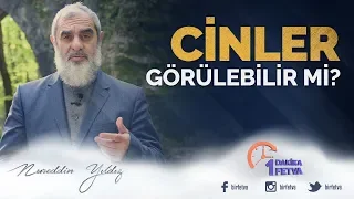 Cinler görülebilir mi? / Birfetva - Nureddin YILDIZ