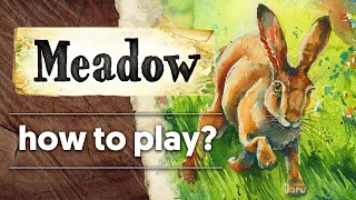 Meadow - How To Play - board game rules