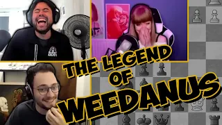 HIKARU, ANNA, & LEVY discuss "WEEDANUS"