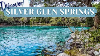 Silver Glen Springs: A Hidden Gem in Ocala National Forest!
