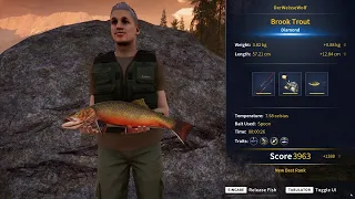 Call of the Wild - The Angler - Brook Trout Diamond - Hotspot